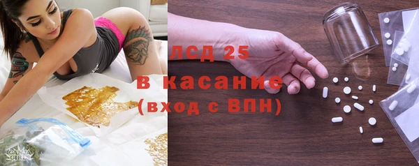 гашик Алексин