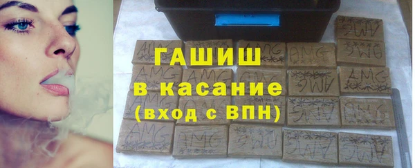 гашик Алексин