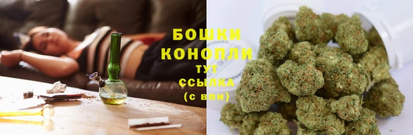 дурь Алзамай