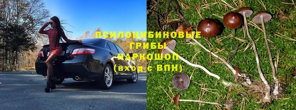 соль ск Алексеевка