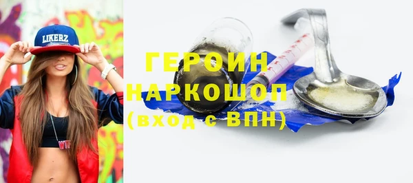 гашик Алексин