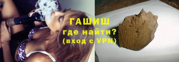 гашик Алексин
