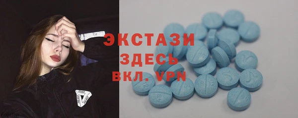 гашик Алексин
