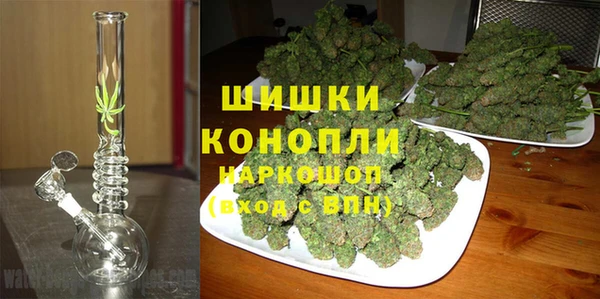 дурь Алзамай