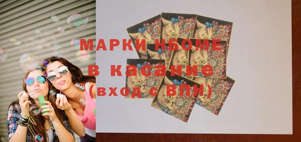 гашик Алексин