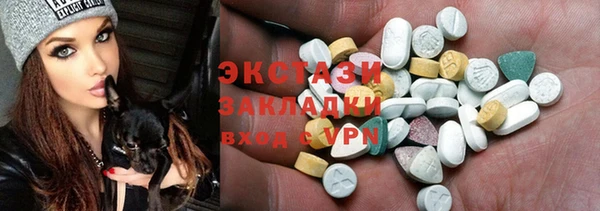 гашик Алексин